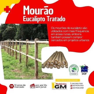 Mourão, Poste, Viga, Estaca / Tronco de Eucalipto Tratado e Lixado